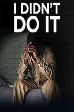 Watch I Didn't Do It (2012) Wootly