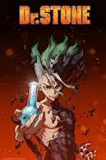 Watch Dr. Stone Wootly