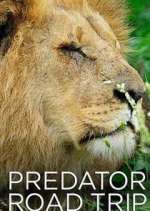 Watch Predator Road Trip Wootly