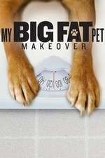 Watch My Big Fat Pet Makeover Wootly