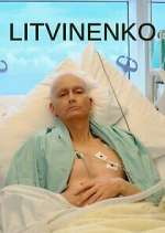 Watch Litvinenko Wootly