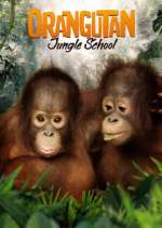 Watch Orangutan Jungle School Wootly