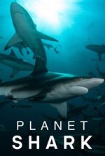 Watch Planet Shark Wootly