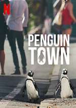 Watch Penguin Town Wootly