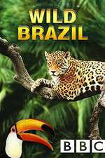 Watch Wild Brazil Wootly