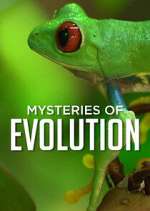 Watch Mysteries of Evolution Wootly