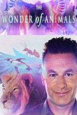 Watch The Wonder of Animals Wootly