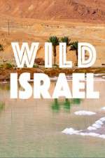 Watch Wild Israel Wootly