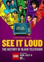 Watch See It Loud: The History of Black Television Wootly