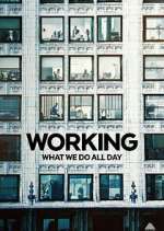 Watch Working: What We Do All Day Wootly