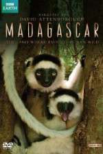 Watch Madagascar Wootly