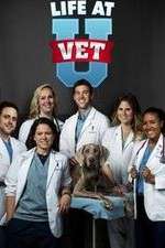 Watch Life at Vet U Wootly