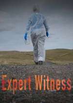 Watch Expert Witness Wootly