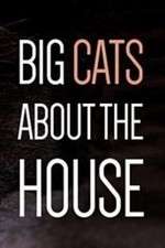 Watch Big Cats About the House Wootly