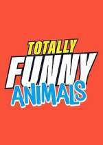 Totally Funny Animals wootly