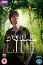 Watch Wonders Of Life Wootly