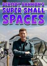 Watch Dermot Bannon's Super Small Spaces Wootly