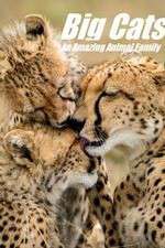 Watch Big Cats: An Amazing Animal Family Wootly