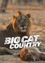 Watch Big Cat Country Wootly
