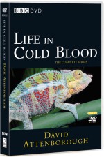 Watch Life in Cold Blood Wootly