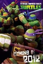 Watch Teenage Mutant Ninja Turtles Wootly