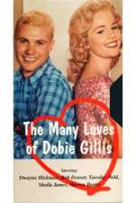 Watch The Many Loves of Dobie Gillis Wootly