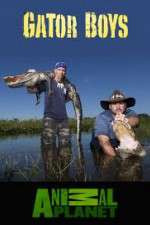 Watch Gator Boys Wootly