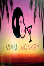 Watch Miami Monkey Wootly