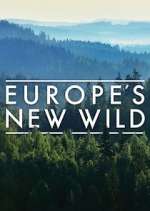 Watch Europe's New Wild Wootly