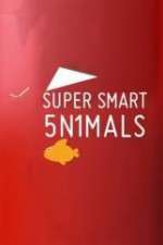 Watch Super Smart Animals Wootly