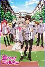 Watch Haiyore Nyaruko-san Wootly