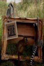 Watch Anna's Wild Life Wootly