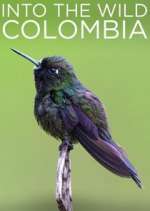 Watch Into the Wild Colombia Wootly