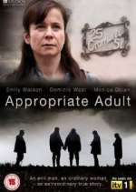 Watch Appropriate Adult Wootly