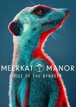 Watch Meerkat Manor: Rise of the Dynasty Wootly