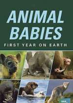 Watch Animal Babies: First Year on Earth Wootly