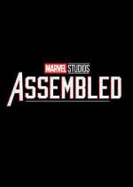 Watch Marvel Studios: Assembled Wootly