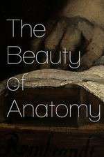 Watch The Beauty of Anatomy Wootly