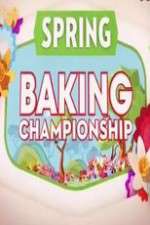 Watch Spring Baking Championship Wootly