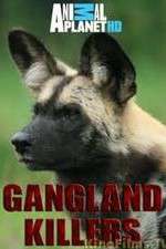 Watch Gangland Killers Wootly