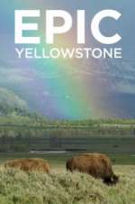 Watch Epic Yellowstone Wootly