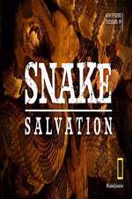 Watch Snake Salvation Wootly