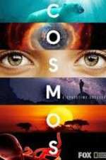 Watch Cosmos A SpaceTime Odyssey Wootly