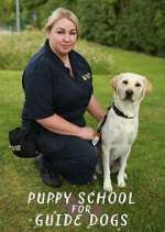 Watch Puppy School for Guide Dogs Wootly