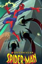Watch The Spectacular Spider-Man Wootly