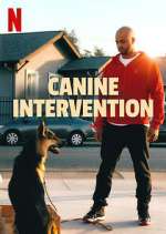 Watch Canine Intervention Wootly
