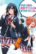 Watch Yahari Ore no Seishun Love Come wa Machigatteiru Wootly