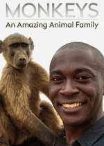 Watch Monkeys: An Amazing Animal Family Wootly