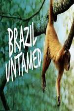 Watch Brazil Untamed Wootly