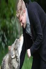 Watch Wolfblood Uncovered Wootly